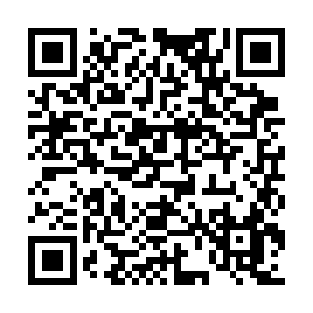 QR code for 461SK