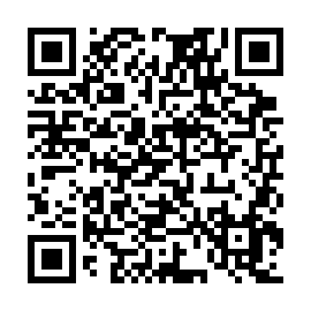 QR code for 461SN