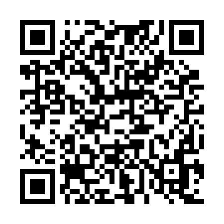 QR code for 462BIN