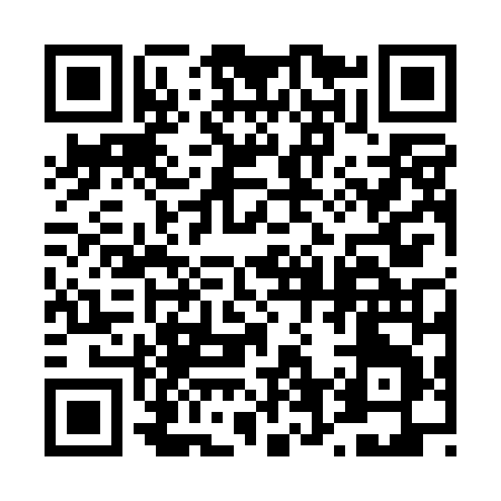 QR code for 462PN
