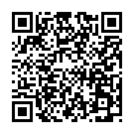 QR code for 462PT