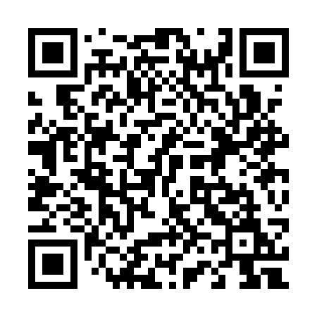 QR code for 463ASM