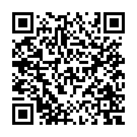 QR code for 463DZ