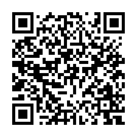 QR code for 463GQ