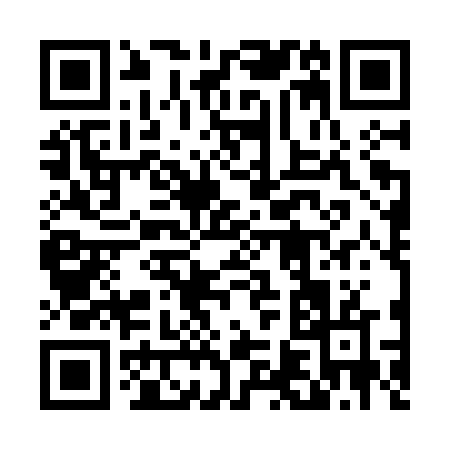 QR code for 463OV