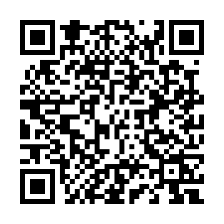 QR code for 463P