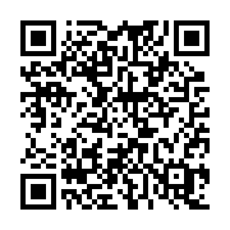 QR code for 463RSG