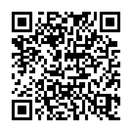 QR code for 463SVP