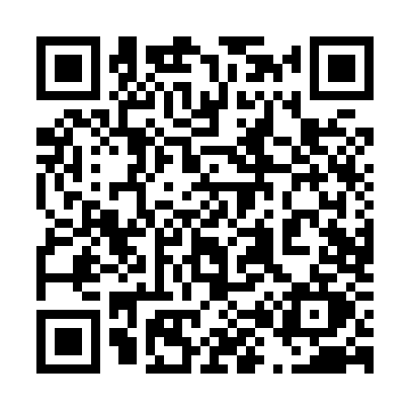 QR code for 480X