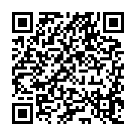 QR code for 481ZI