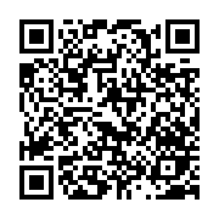 QR code for 486ZT