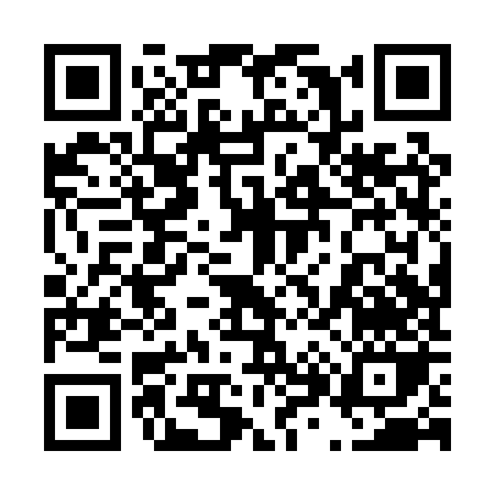 QR code for 488PZ