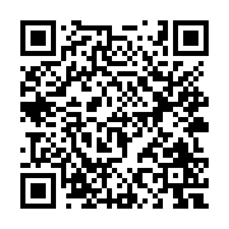 QR code for 489ZZ
