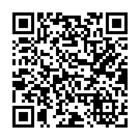 QR code for 490SPE
