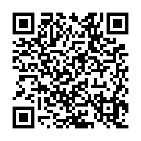 QR code for 491FF