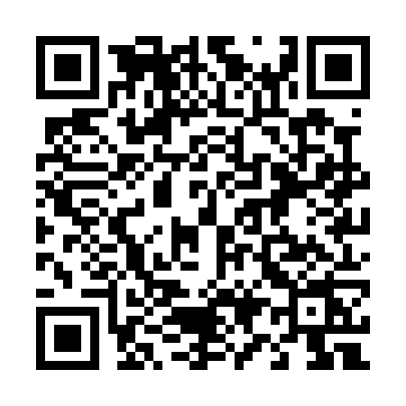 QR code for 491P