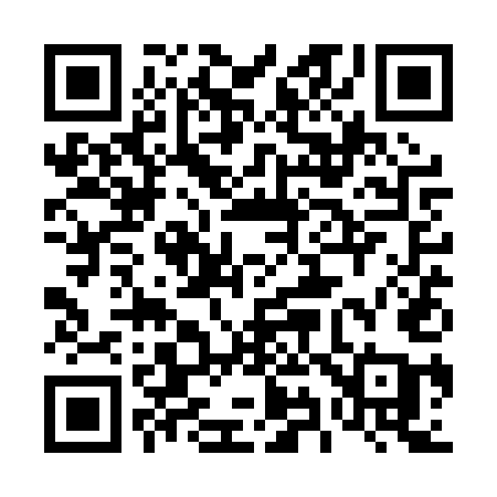 QR code for 491PUA