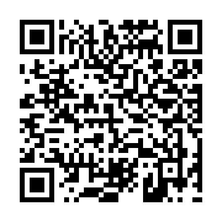 QR code for 491S