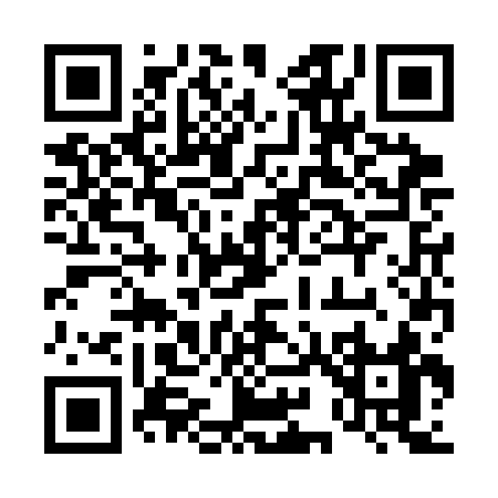 QR code for 493CC