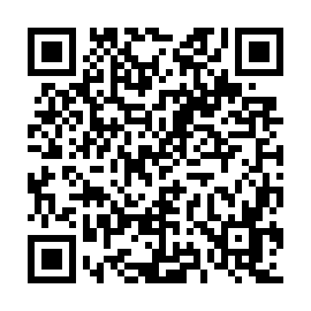 QR code for 493G