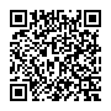 QR code for 493H