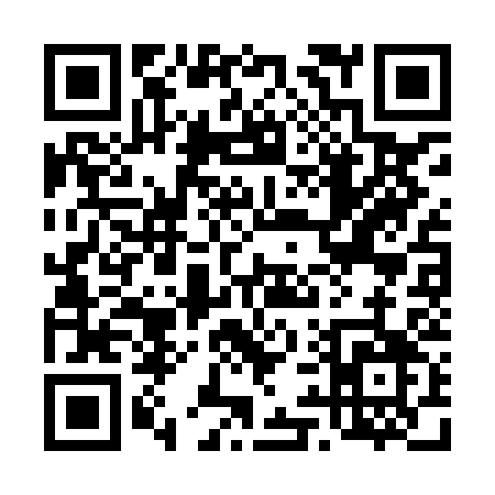 QR code for 493HC