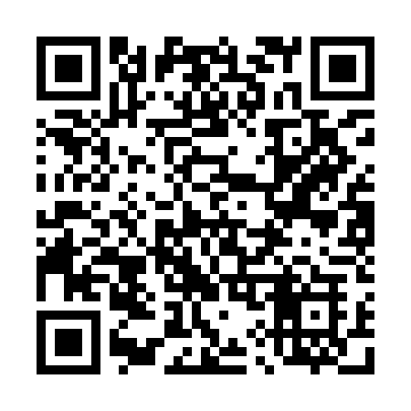 QR code for 493IDK