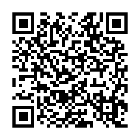 QR code for 493IF