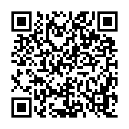 QR code for 493K