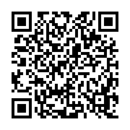 QR code for 493L