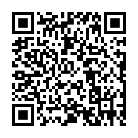 QR code for 493LO