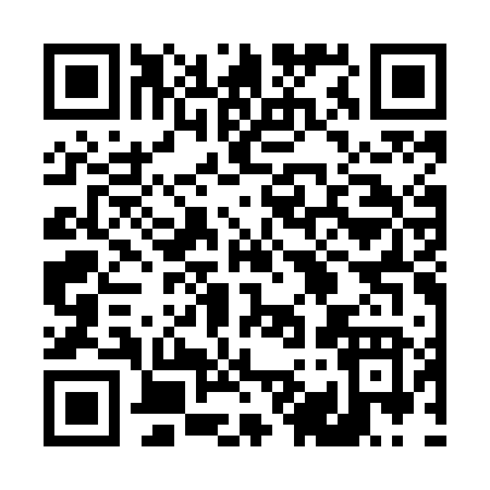 QR code for 493MF