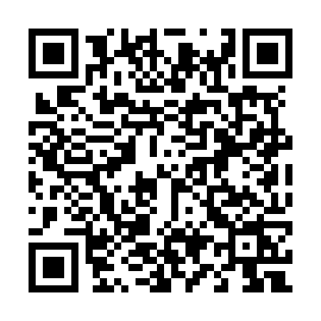 QR code for 493N