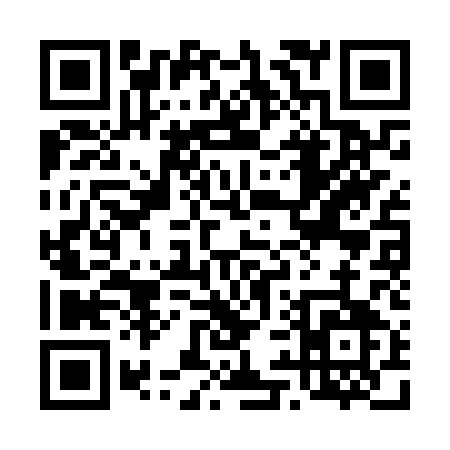 QR code for 493NQ