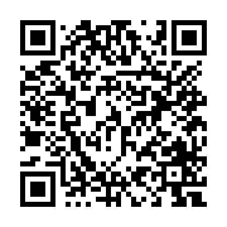 QR code for 493NX