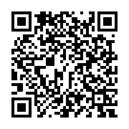 QR code for 493P
