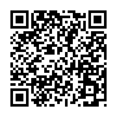 QR code for 493PH