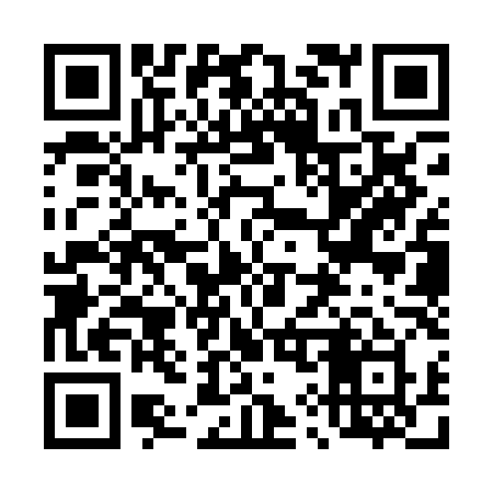 QR code for 493PLY