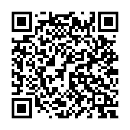 QR code for 493PVB