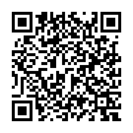 QR code for 493Q