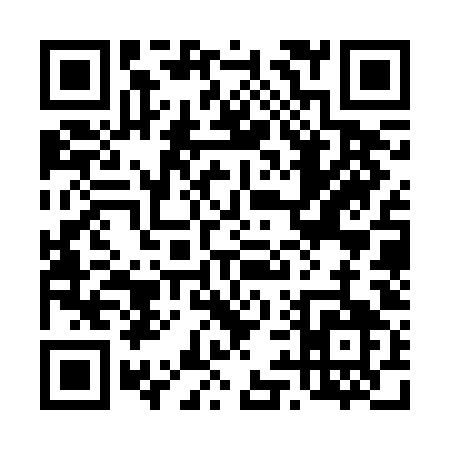 QR code for 493RO