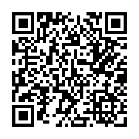 QR code for 493RS