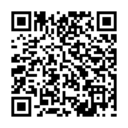 QR code for 493SF