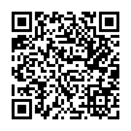 QR code for 493SN