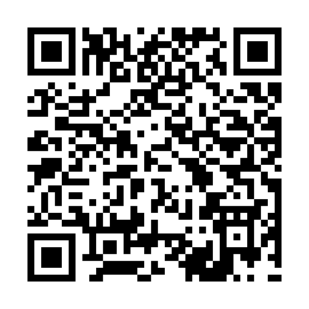 QR code for 493SS