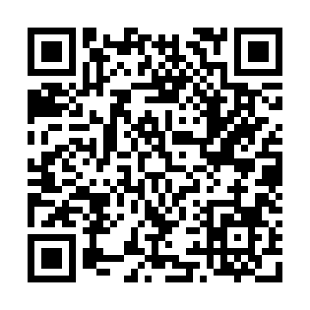 QR code for 493SX