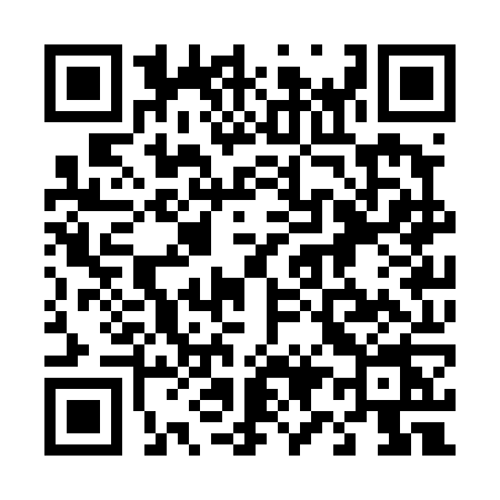 QR code for 493T