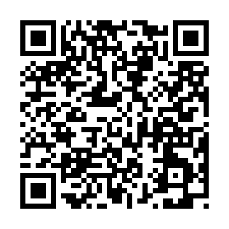 QR code for 493TI