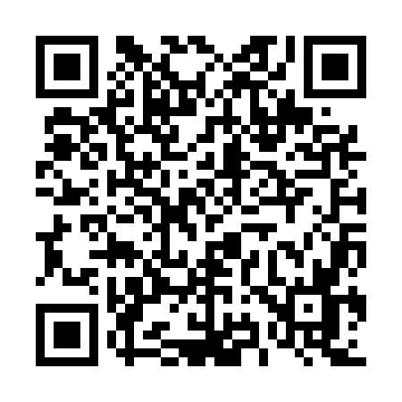 QR code for 493U