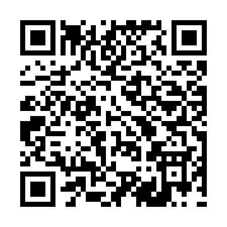 QR code for 493WS